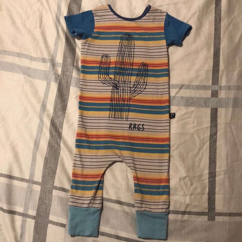 SW cactus strip Rags